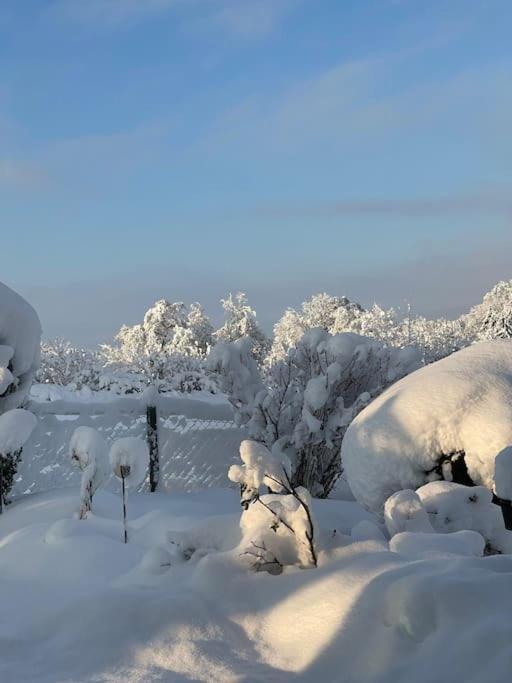 Panorama Saentisblick Διαμέρισμα Hergatz Εξωτερικό φωτογραφία